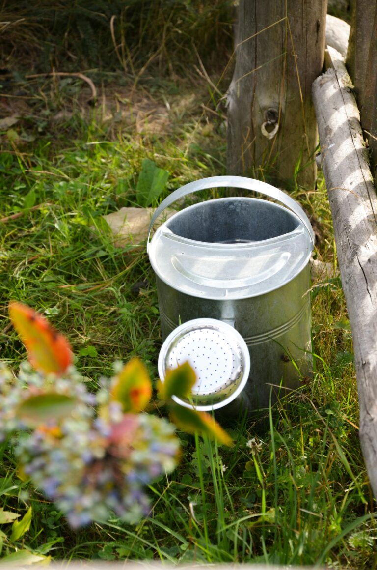 Best Garden Tools For Beginners in -2025